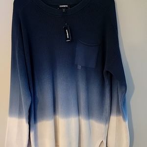 Express mens sweater